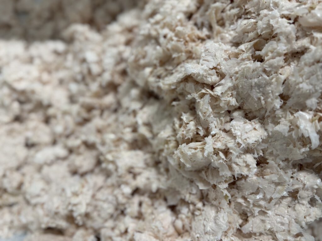 Foto der frischen Membran unmittelbar nach der mechanischen Trennung