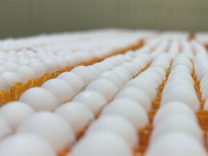Eier auf orangefarbenen Tabletts zu Beginn des Produktionsprozesses von Mkare®